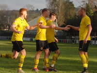 Williams inspires hard-fought win for Dolgellau against Llandrindod