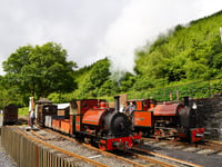 Railway steams into anniversary celebrations with half-term gala