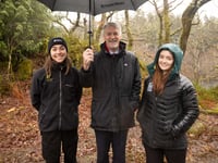 Welsh Government seeks views on future of timber industry 