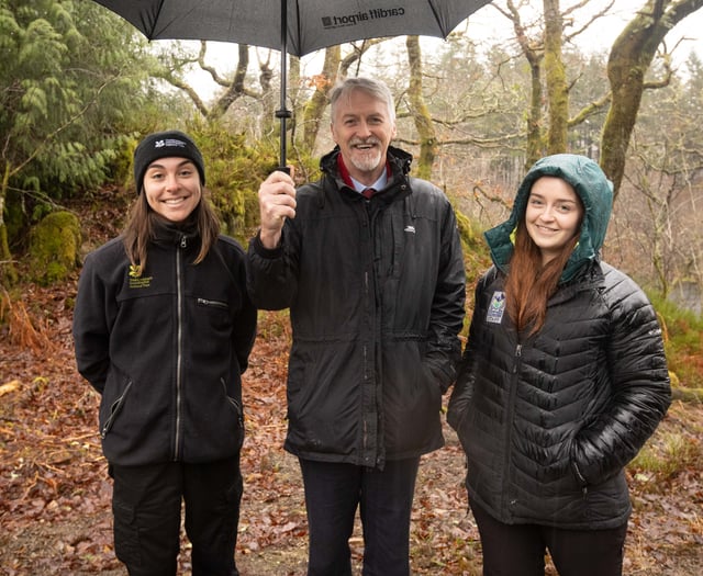 Welsh Government seeks views on future of timber industry 