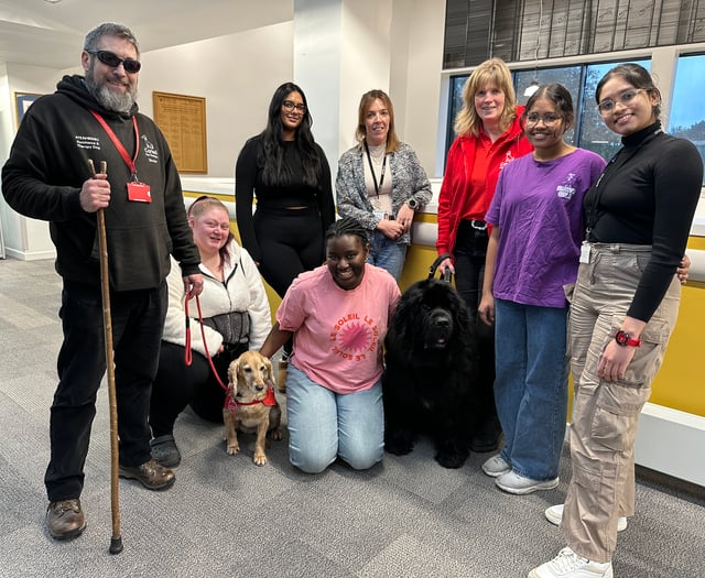 Pet dogs patient therapy for nursing students