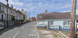 Plans hatched for housing on market garden