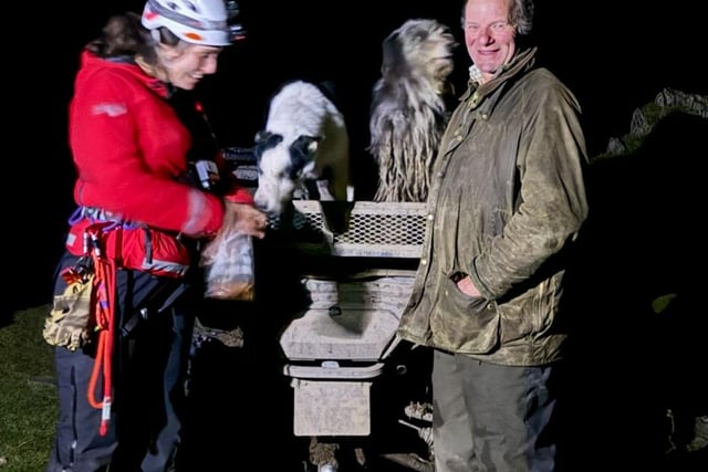 Aberdyfi team rescue dog following fall into quarry