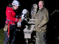 Aberdyfi team rescue dog following fall into quarry