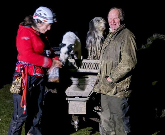 Aberdyfi team rescue dog following fall into quarry