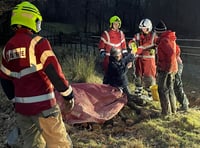 Firefighters rescue horse stuck in a ditch