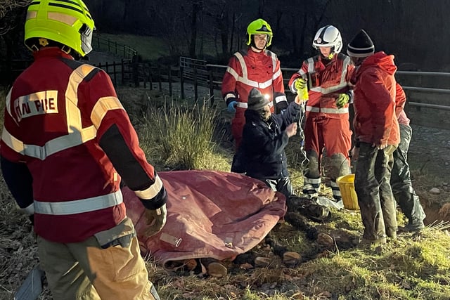 Firefighters rescue horse stuck in a ditch