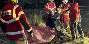 Firefighters rescue horse stuck in a ditch