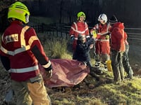 Firefighters rescue horse stuck in a ditch