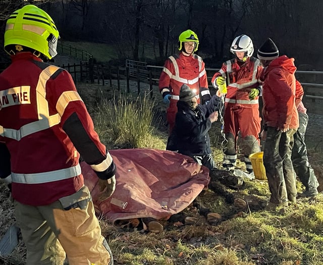 Firefighters rescue horse stuck in a ditch