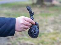 Bala man fined for not picking up dog poo
