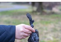 Bala man fined for not picking up dog poo