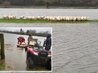 Rising floodwater in Gwynedd led to long sheep rescue