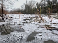 So, who is polluting our rivers?