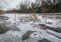 Elly Foster: So, who is polluting our rivers?