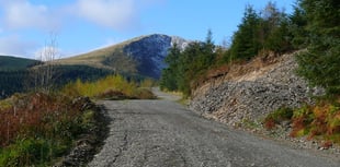 Fine for dumping waste in Dyfi Forest