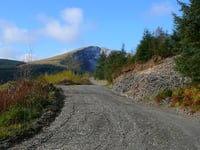 Fine for dumping waste in Dyfi Forest