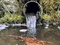 The disgrace of our clean water and green agencies
