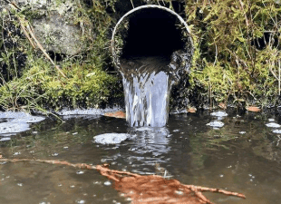 ‘Grave concerns’ over NRW pollution plans and visitor centre closures