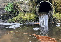 The disgrace of our clean water and green agencies