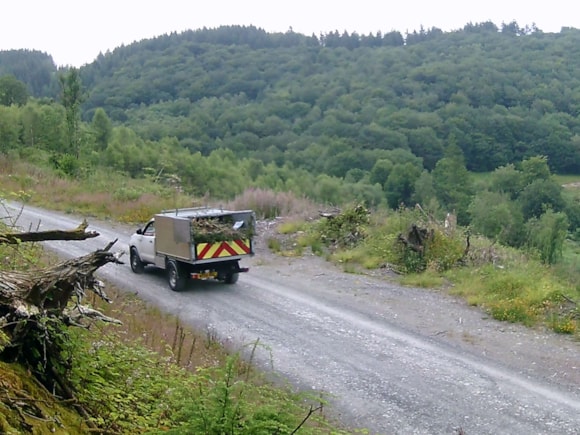 Hamilton's truck caught on Natural Resources Wales surveillance cameras in the Dyfi Forest