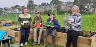 Gwynedd community climate action events taking place this spring