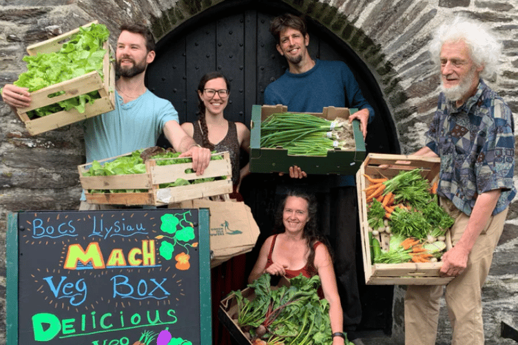 A new community project will give free workshops on seasonal cooking, growing veg and preserving gluts