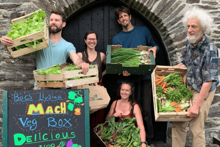 A new community project will give free workshops on seasonal cooking, growing veg and preserving gluts