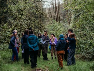 New project launched to restore Dyfi Valley Celtic rainforests