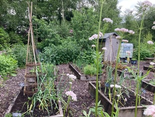 Community scheme awarded £100k for vegetable project
