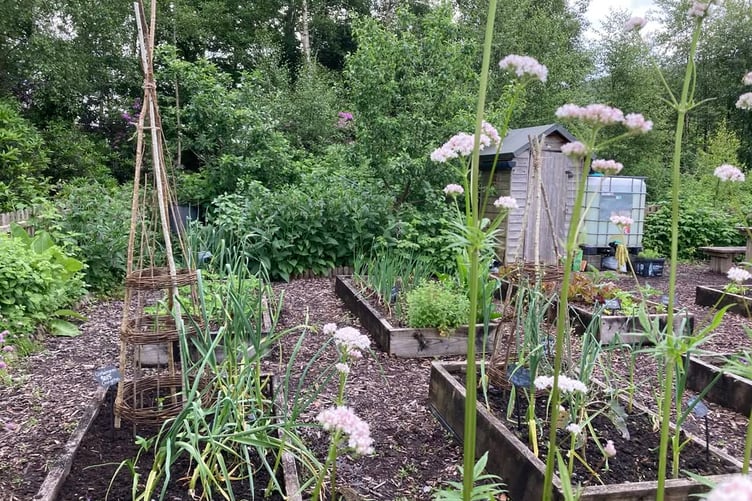 A new community project will give free workshops on seasonal cooking, growing veg and preserving gluts