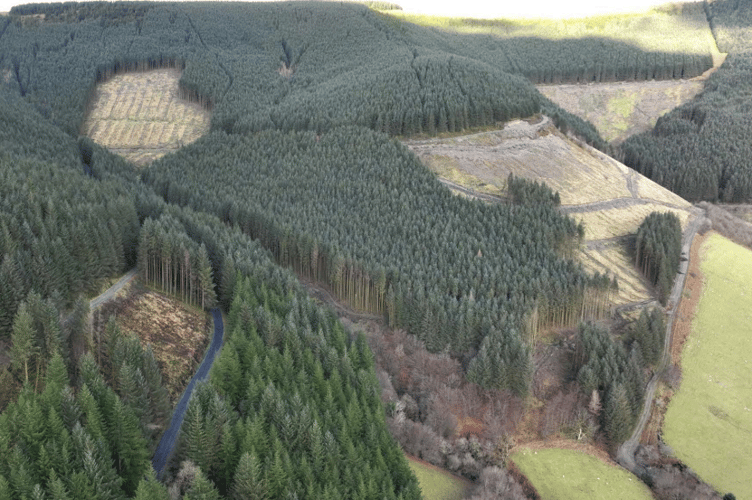 Ffynnon Badarn commercial forest in Aberangell was sold last year to an investment firm in 2024