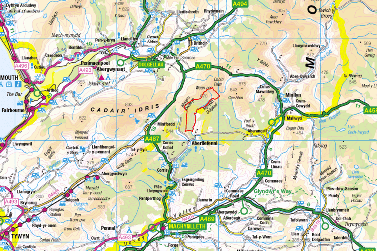 A map showing where the Ffynnon Badarn spruce wood forest sits in relation to Corris