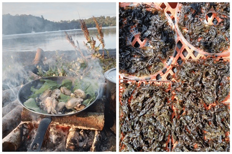 Foraged meals - mussels (left) and drying seaweed (right)