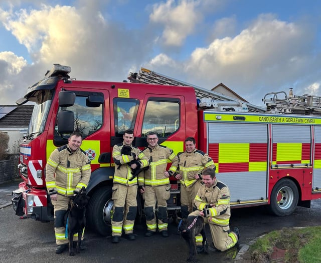 Firefighters rescue three dogs from Ceredigion Fire