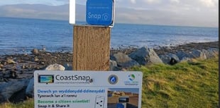 Take a photo of the sea to help scientists track storm damage