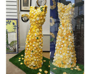 Criccieth marks St David’s Day with gown of 500 daffodils