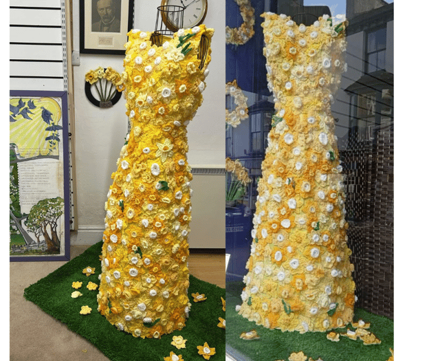 Criccieth marks St David’s Day with gown of 500 daffodils