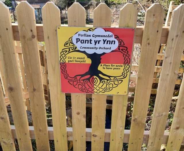 Police appeal after railway sleepers disappear from community garden