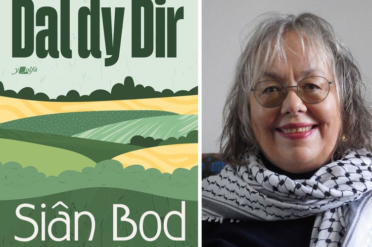 Dal dy Dir gan Siân Bod