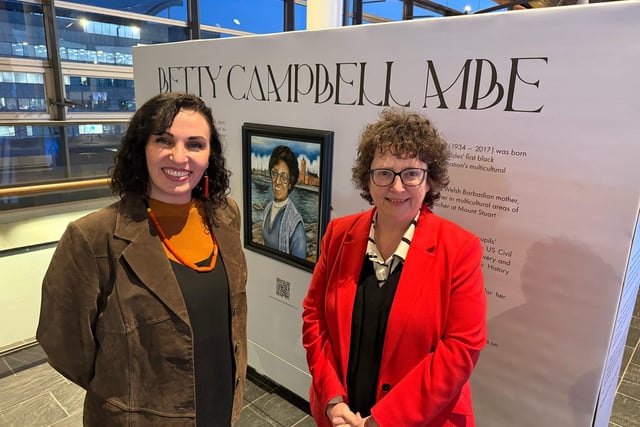 Ceredigion artist's work unveiled at Senedd