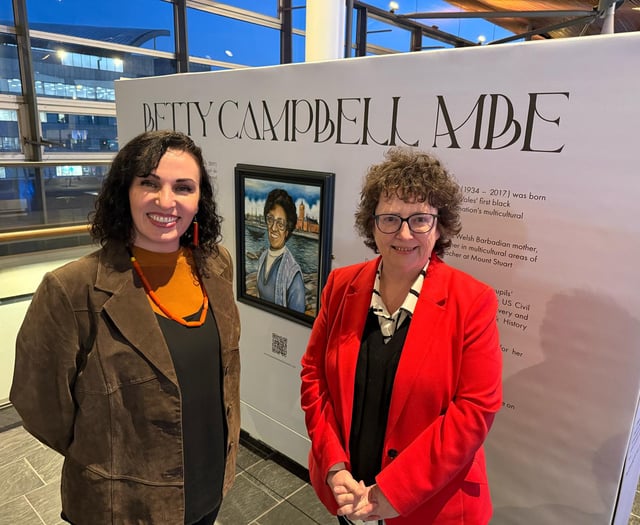 Ceredigion artist's work unveiled at Senedd