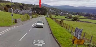 Bitter row as Eryri tree preservation order comes before planners