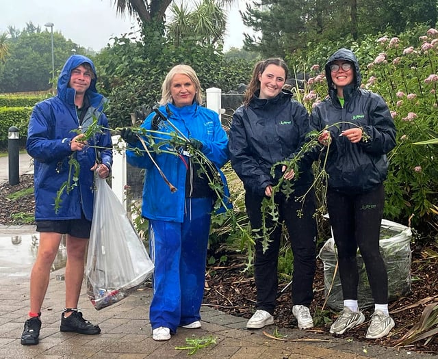 Gwynedd businesses up for tourism awards