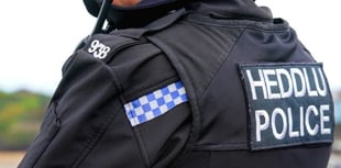 Fatal collision: Police seek witnesses