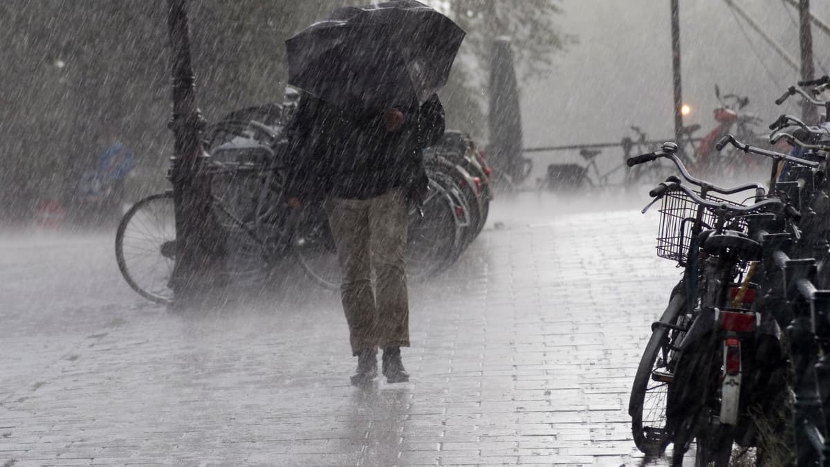 Aberystwyth Weather Forecast: Heavy Rain With Frequent Showers | Ca...
