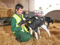 Gwynedd campus open days will take place this month