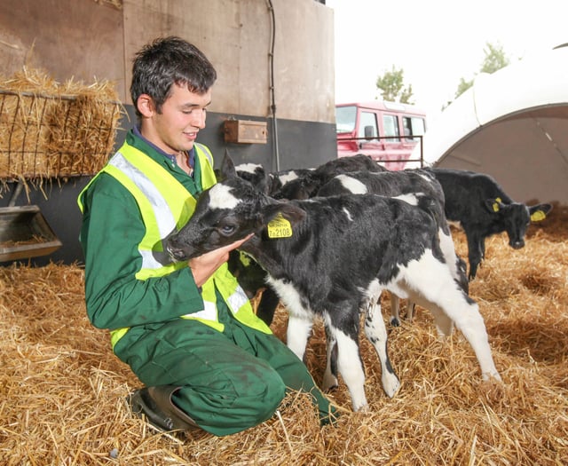 Gwynedd campus open days will take place this month