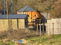 Images inside Oakwood shows Pembrokeshire theme park's sad decline