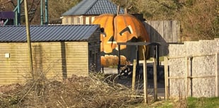 Images inside Oakwood shows Pembrokeshire theme park's sad decline